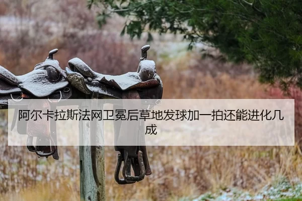 a-er-ka-la-si-fa-wang-wei-mian-hou-cao-di-fa-qiu-jia-yi-pai-hai-neng-jin-hua-ji-cheng-2-762.jpg