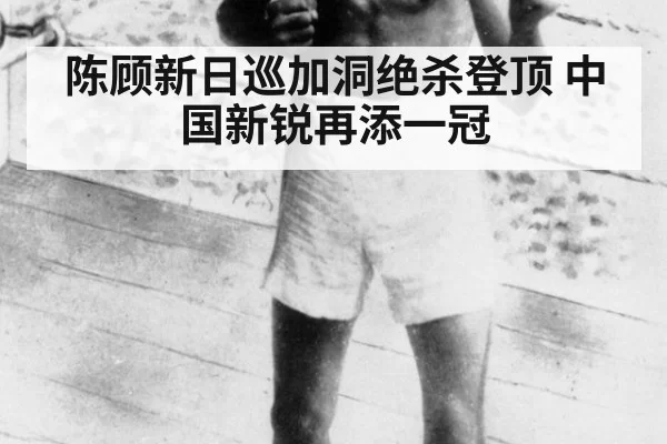 陈顾新日巡加洞绝杀登顶 中国新锐再添一冠